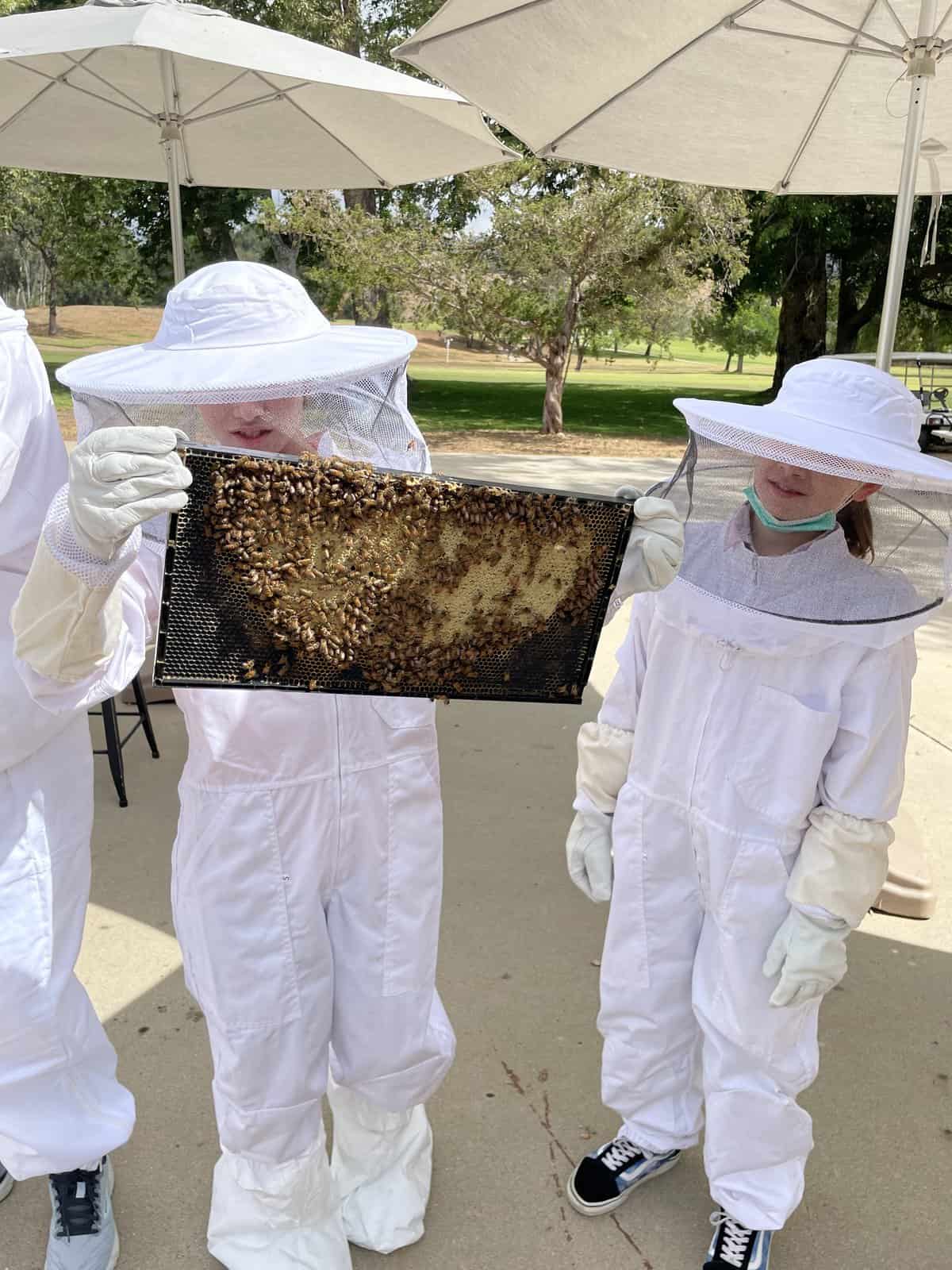 CJ holding a tray of bees