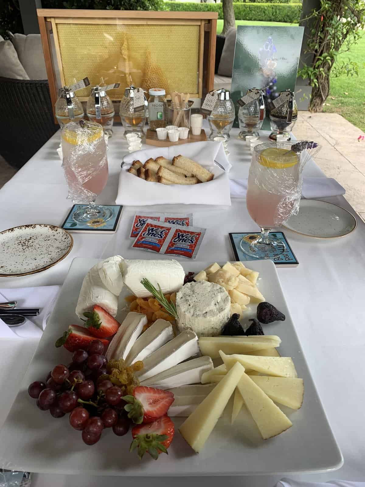 spread of fruit, cheese and gluten-free bread for honey tasting