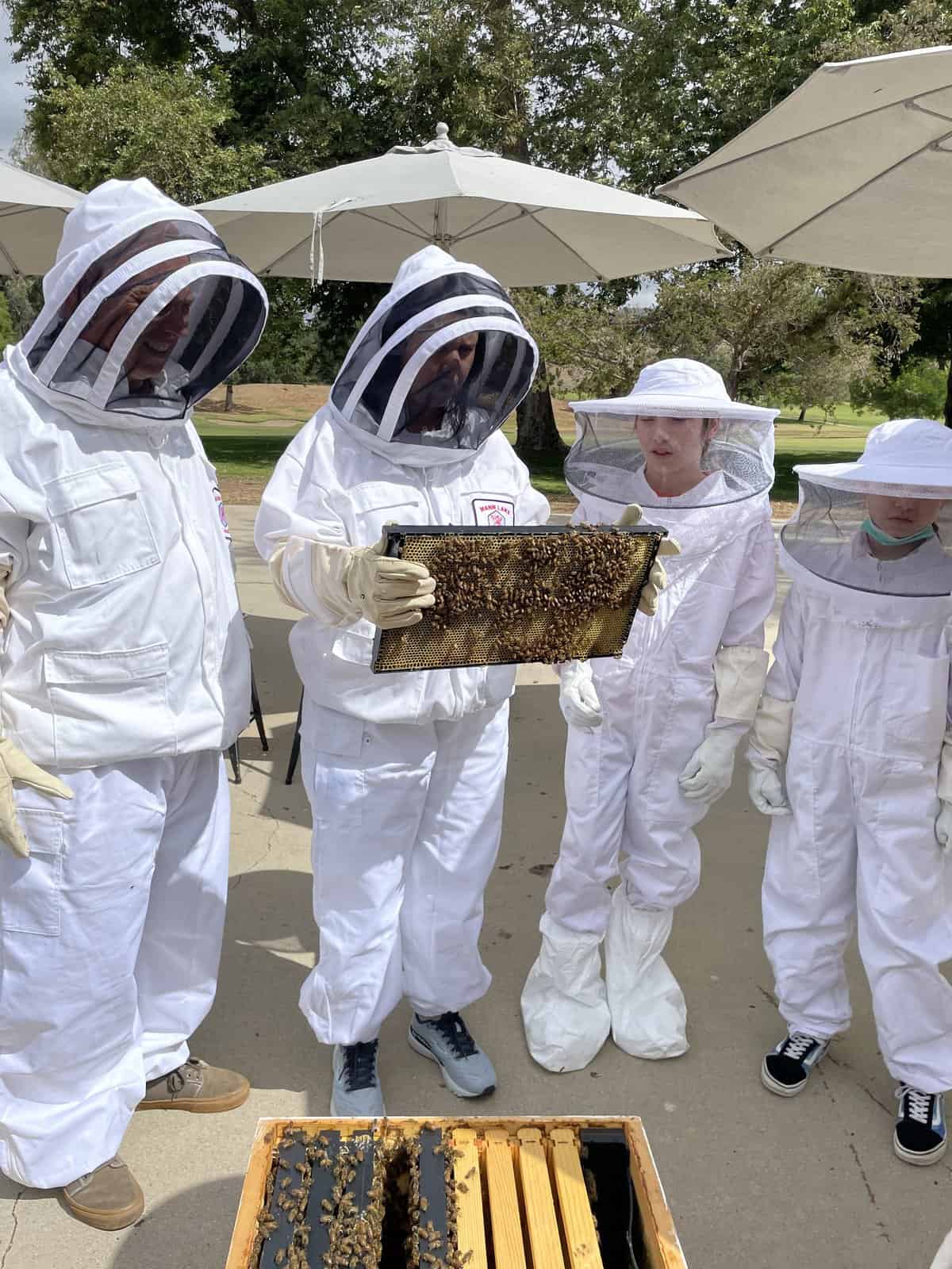 Heather holding a tray of bees