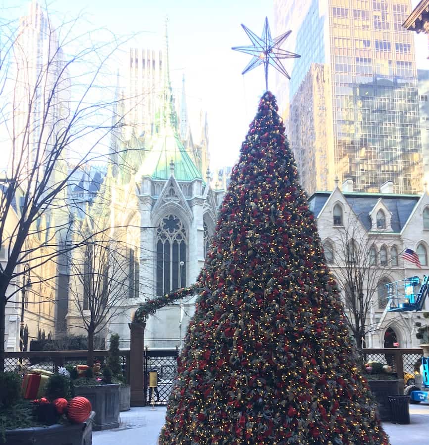 tall Christmas tree with a large star on top in an old courtyard, with St. Patrick's Cathedral in the background