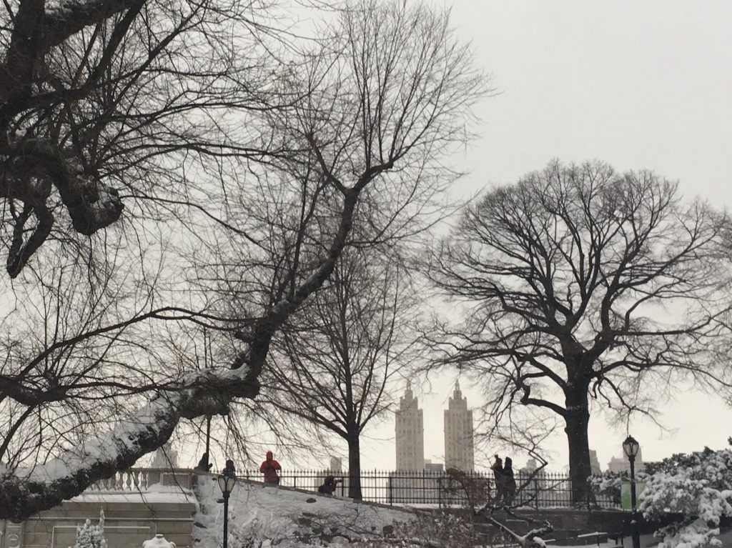 view of Central Park after a snowstorm, bare trees, people walking across a bridge, San Remo twin towers in the background
