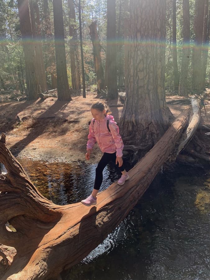 Miss E, wearing a pink jacket and black backpack waling across the trunk of a large fallen tree