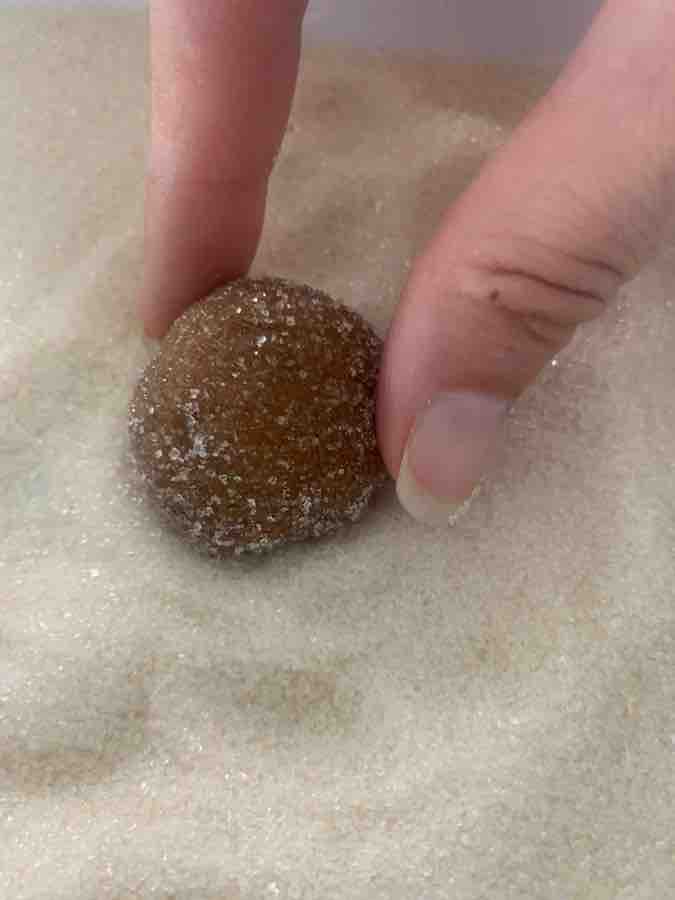 gluten-free gingersnap cookie dough ball being rolled in sugar and held with a thumb and forefinger