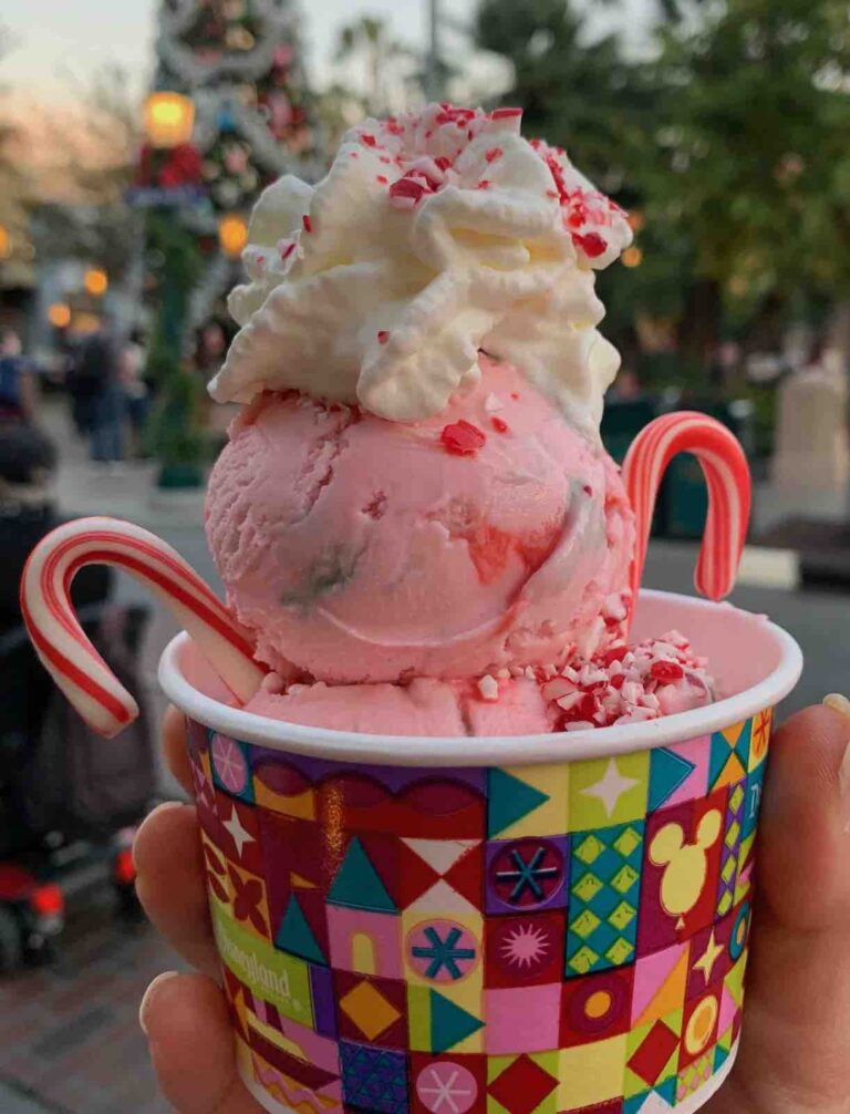 11 Magical Moments for a Gluten-Free Disneyland Christmas
