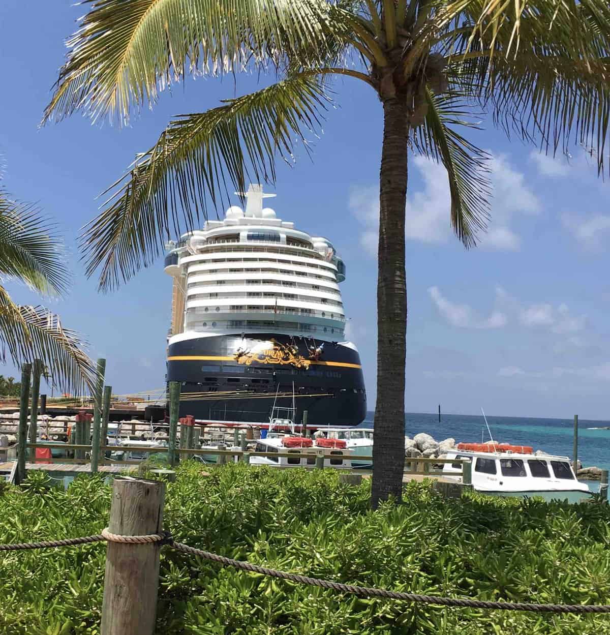 The Disney Dream Cruise ship in the port, grass and a palm tree in the foreground, ship, ocean and port in the background