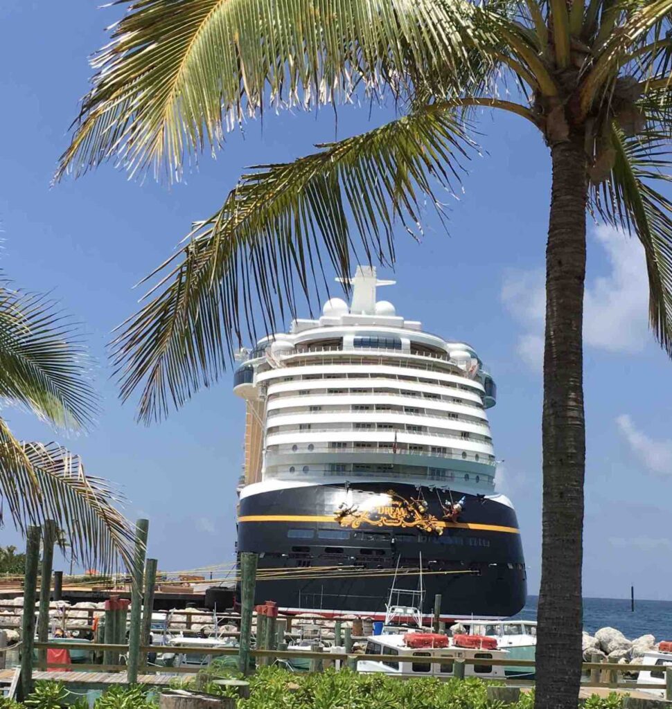 Disney Dream cruise ship in the port.... a palm tree in the foreground on the right