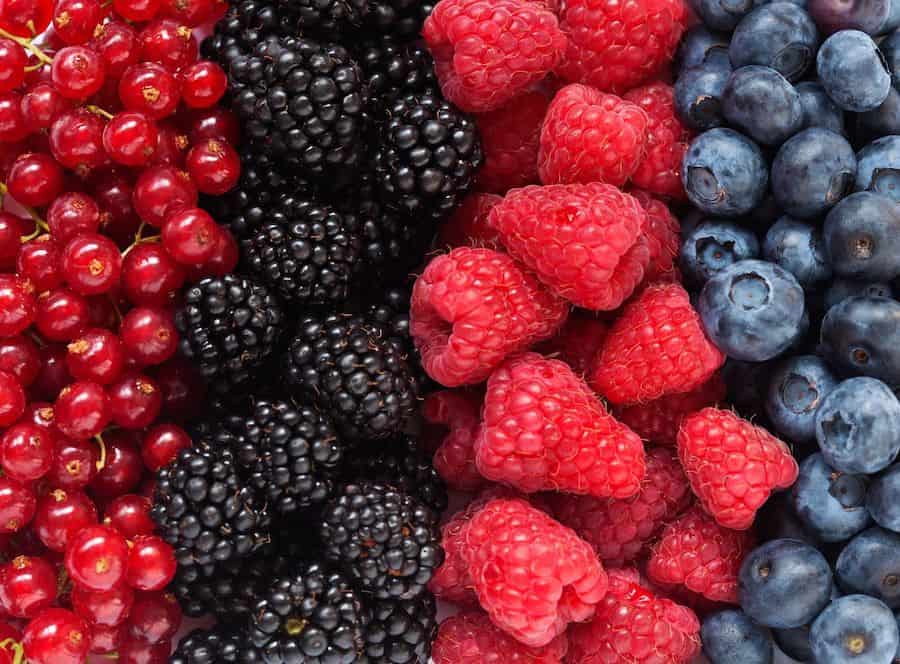 berries: red currants, black berries, raspberries, blueberries