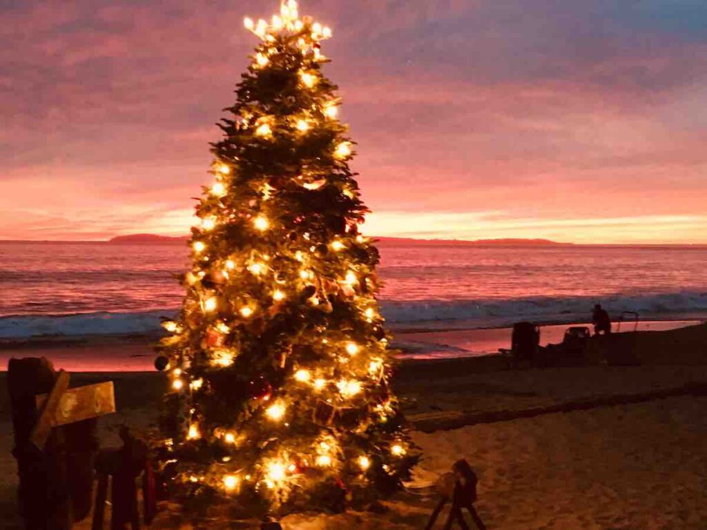 a Christmas tree on the sand at Crystal Cove with gorgeous red and orange sunset colors