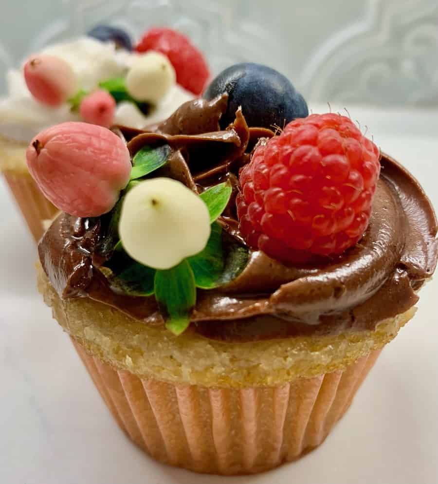 Gluten-free vanilla cupcake with chocolate frosting, topped with berries. A vanilla frosted cupcake in the background.